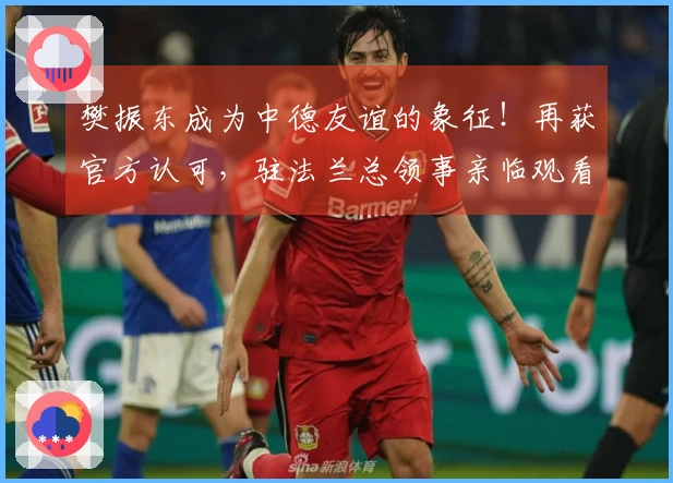 樊振东成为中德友谊的象征！再获官方认可，驻法兰总领事亲临观看